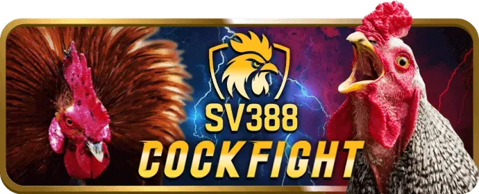 Hình ảnh công cụ tiếp thị vlxx88 casino